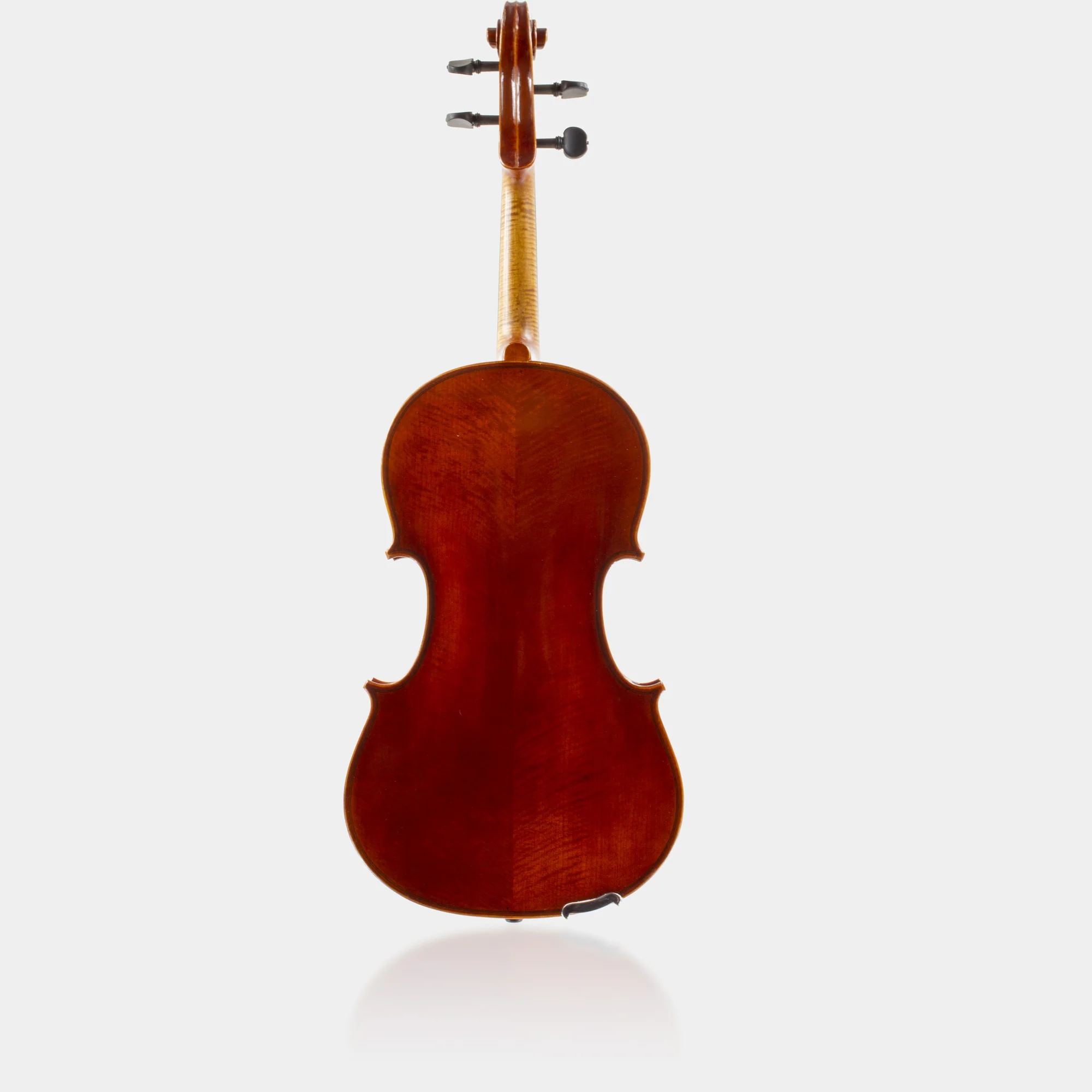 101 Model Viola - Image 2