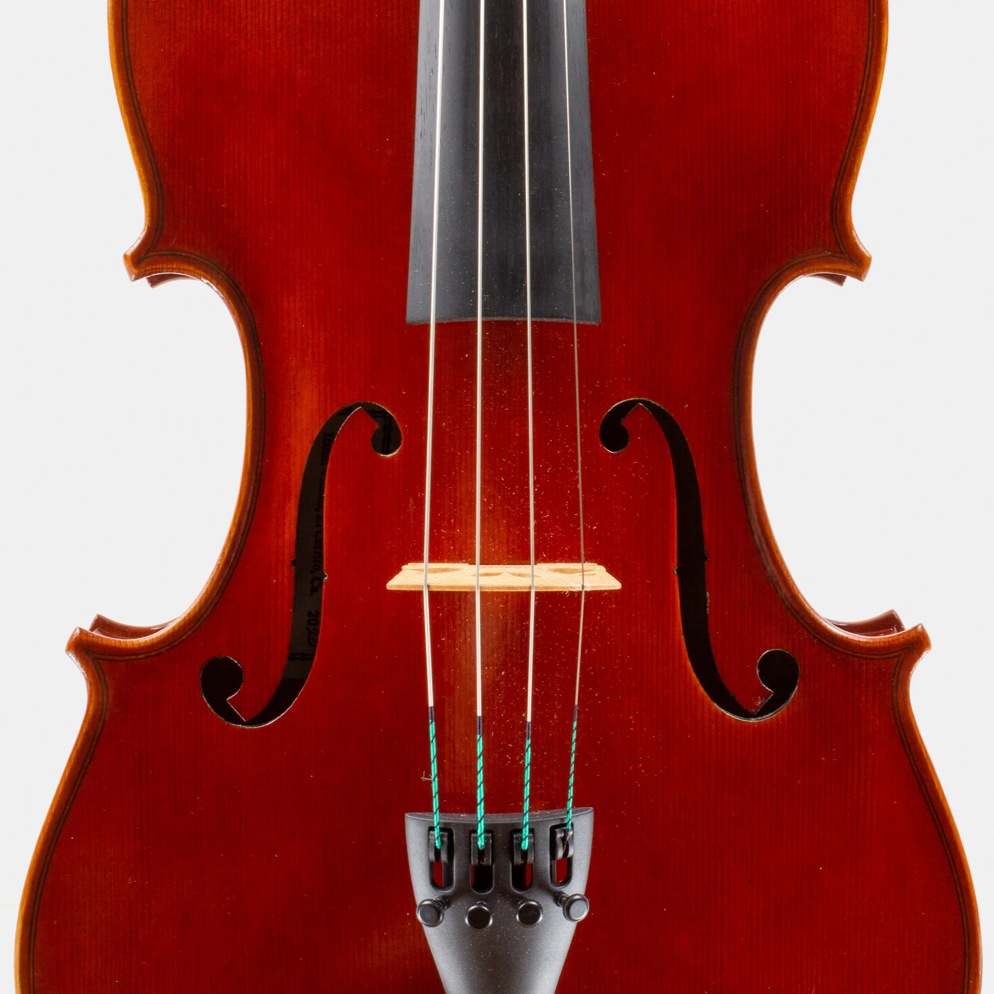 101 Model Viola - Image 3