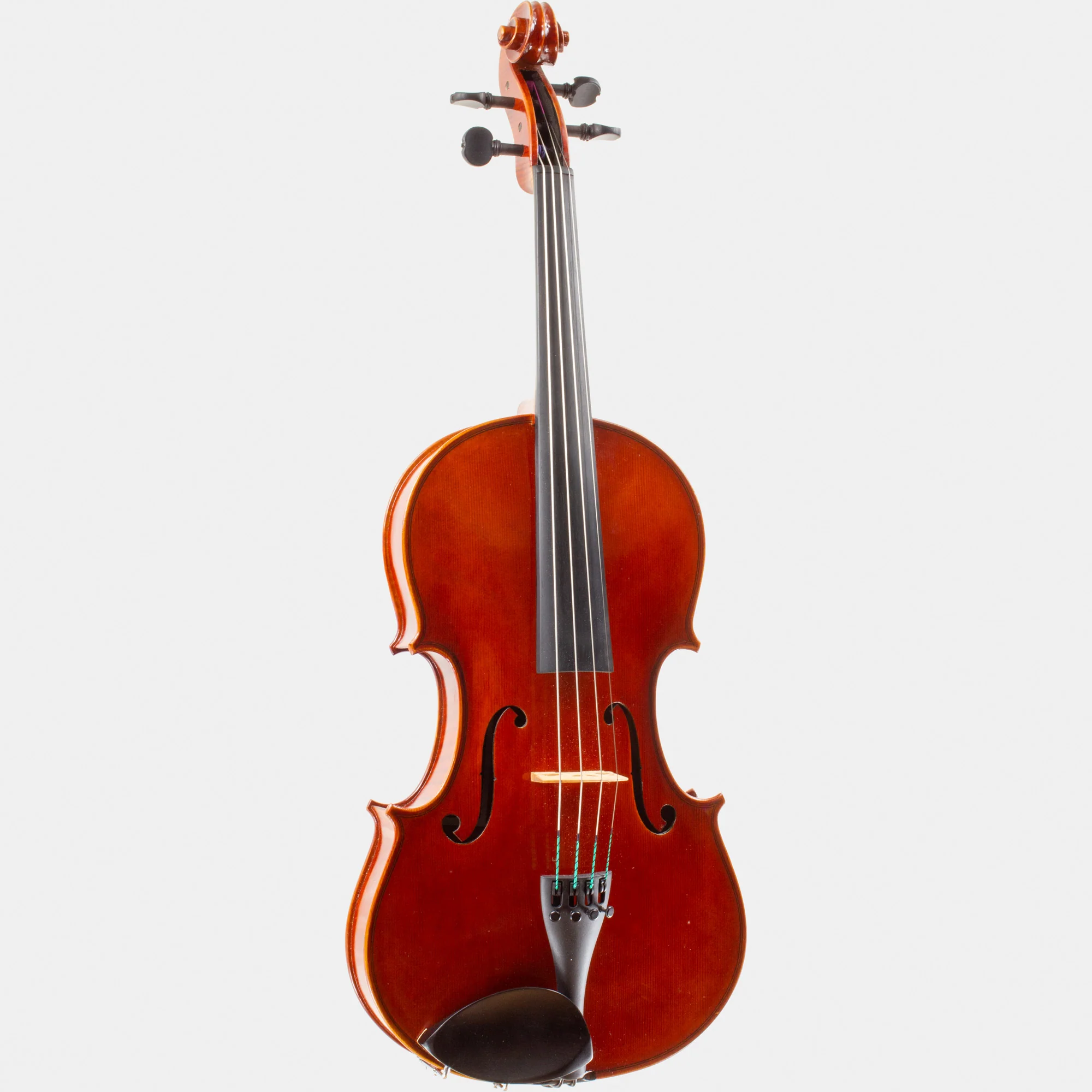 101 Model Viola - Image 4