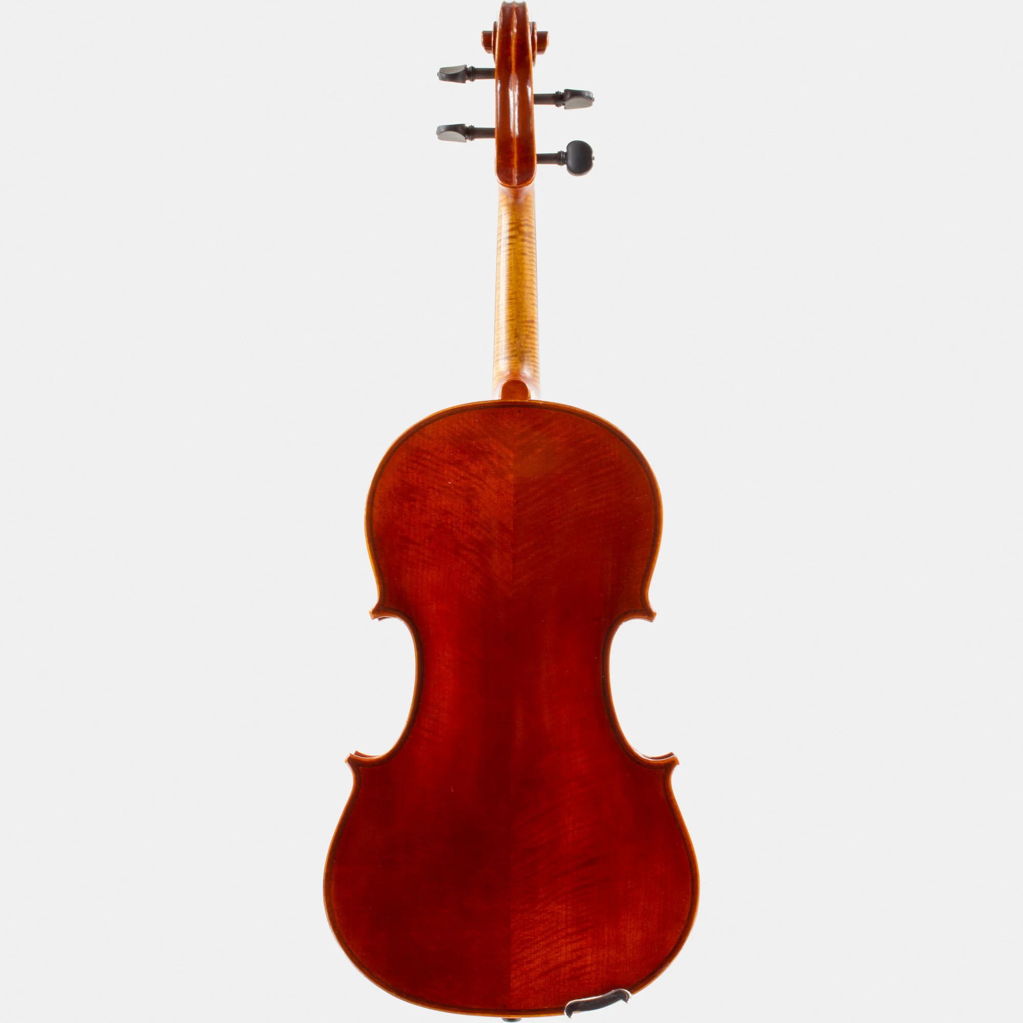 101 Model Viola - Image 5