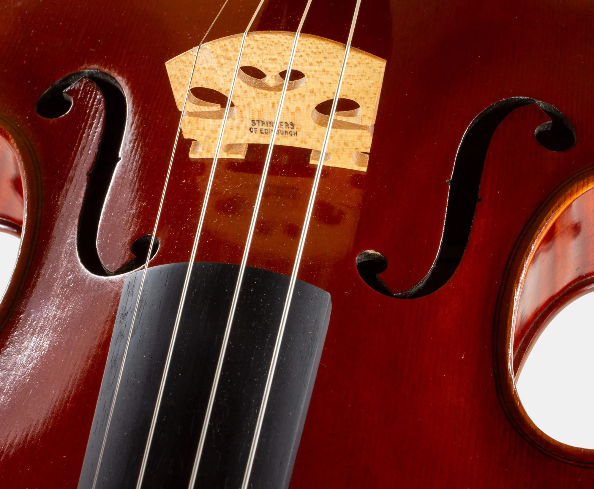 101 Model Viola - Image 7