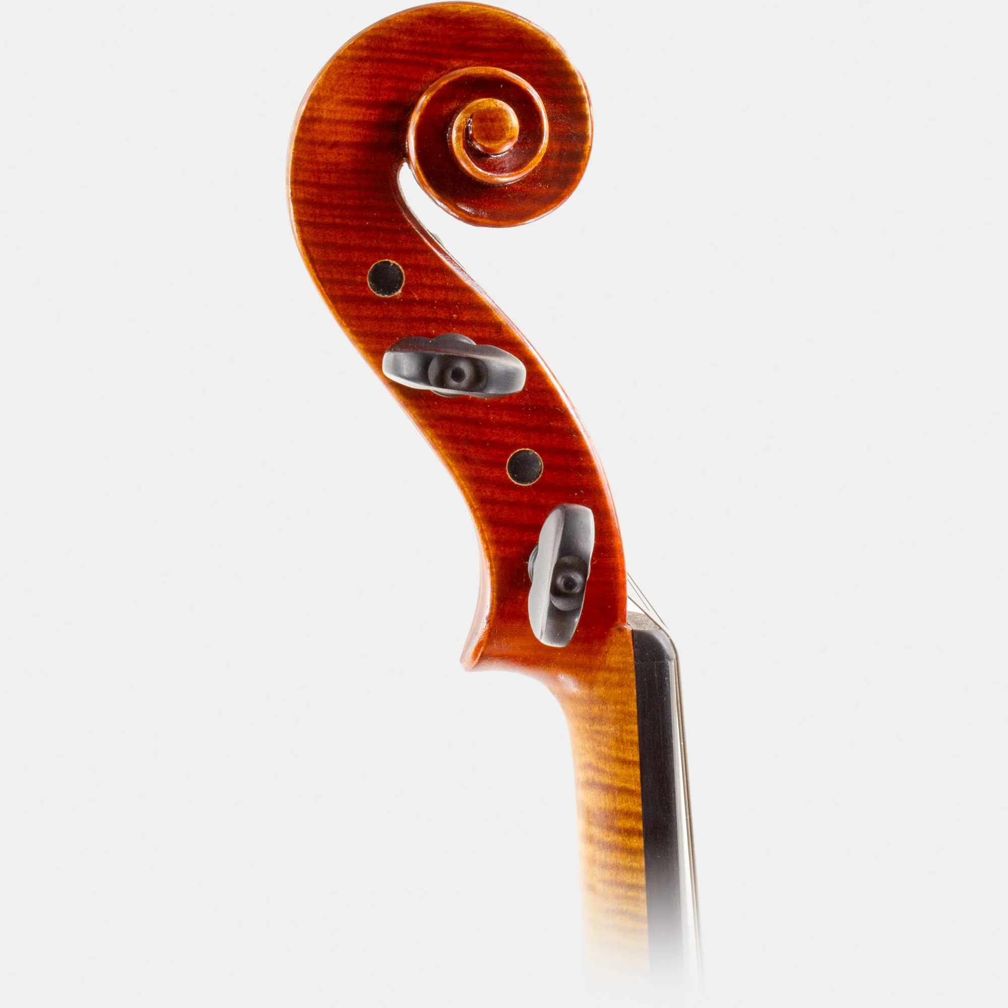 101 Model Viola - Image 8