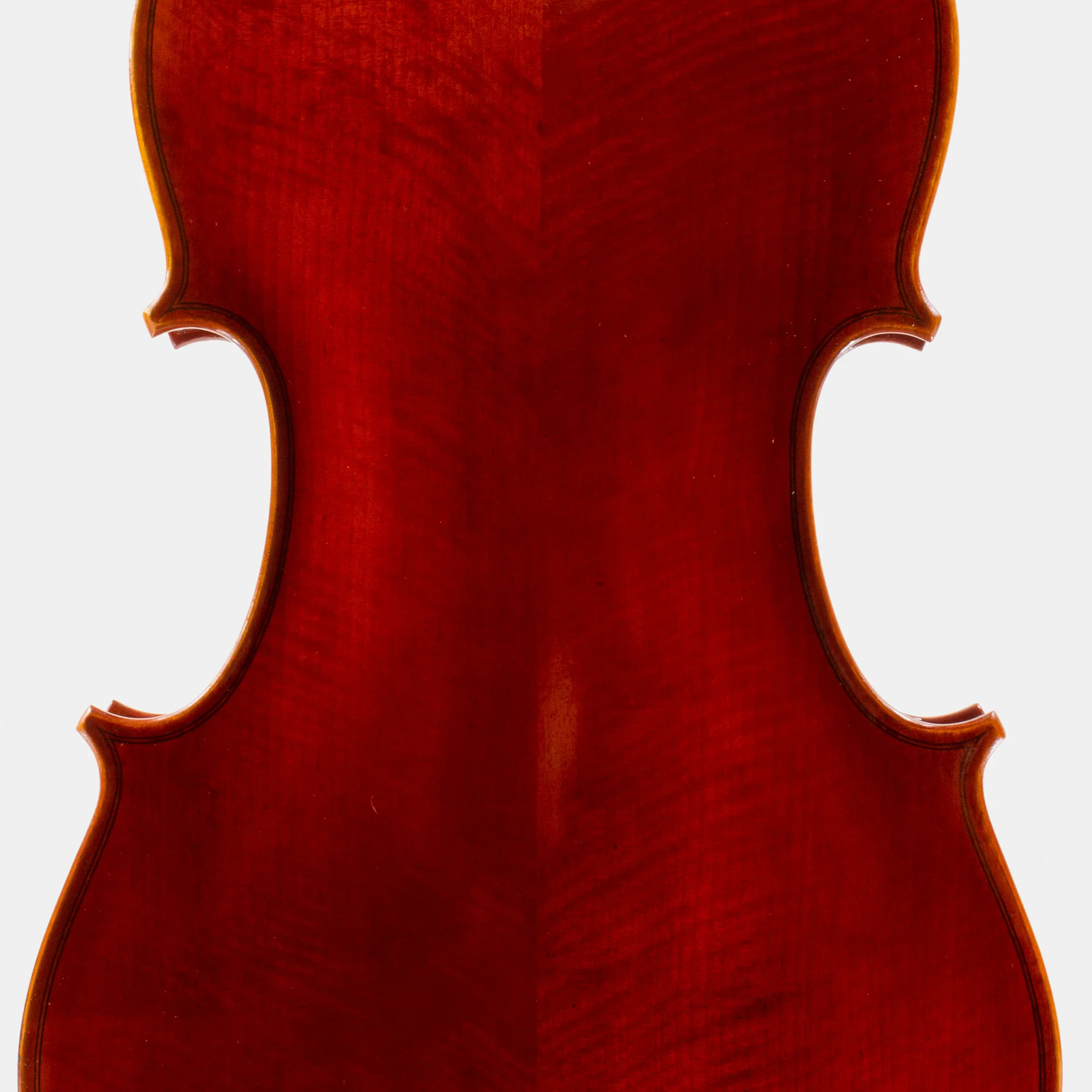 101 Model Viola - Image 9