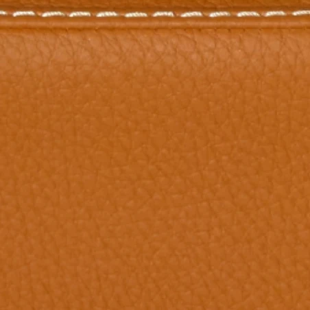 L'Étoile Hightech Slim Violin Case - Image 14