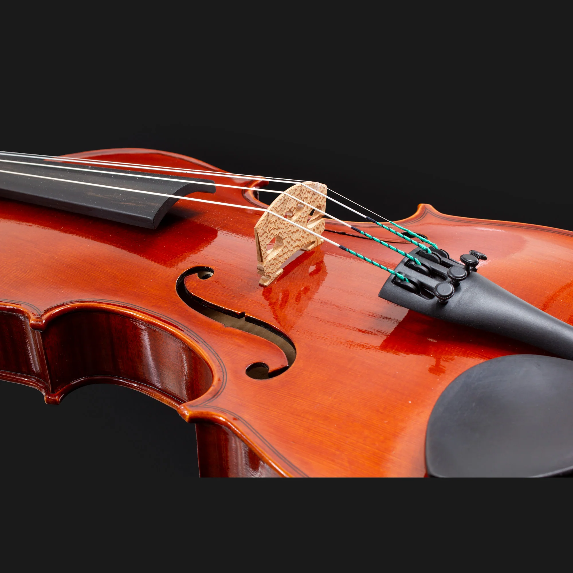 101 Model Violin - Image 10