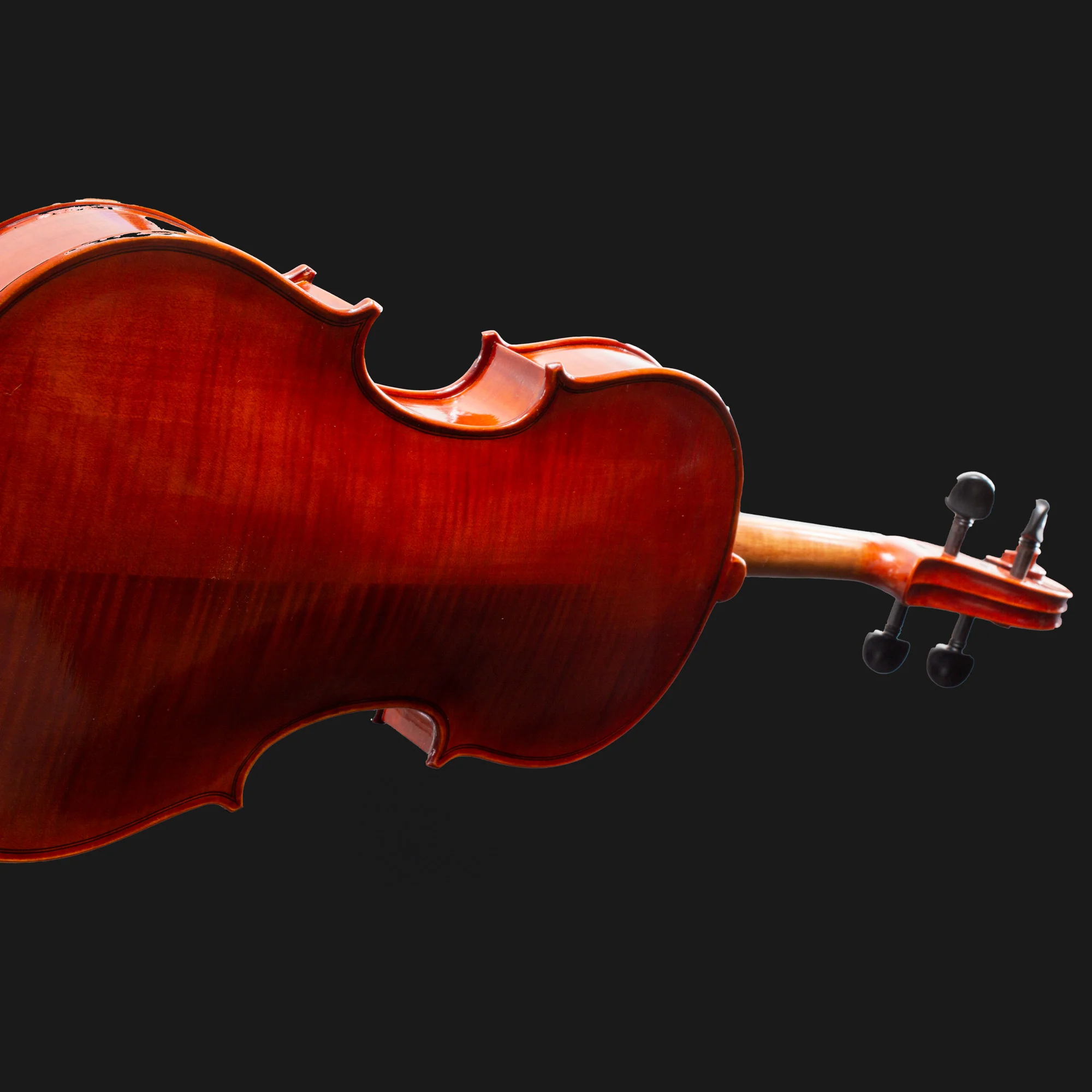 101 Model Violin - Image 11