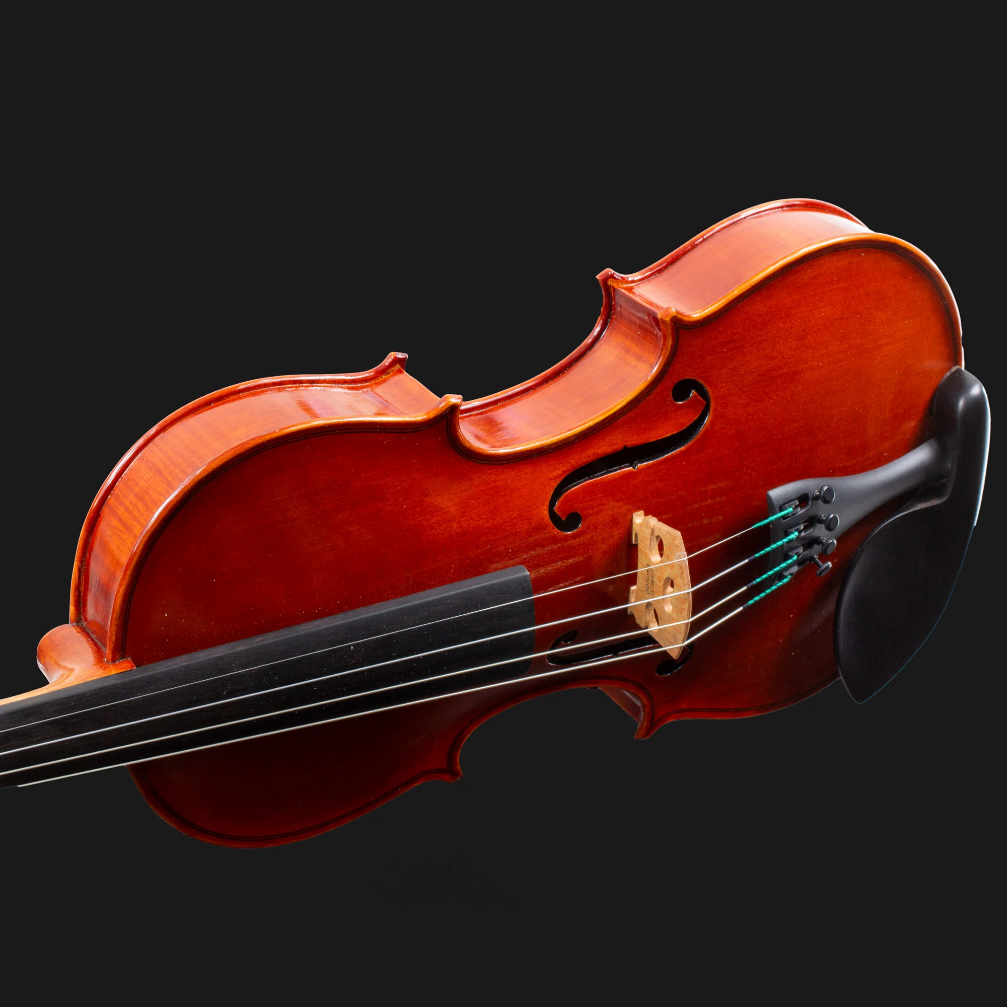 101 Model Violin - Image 12