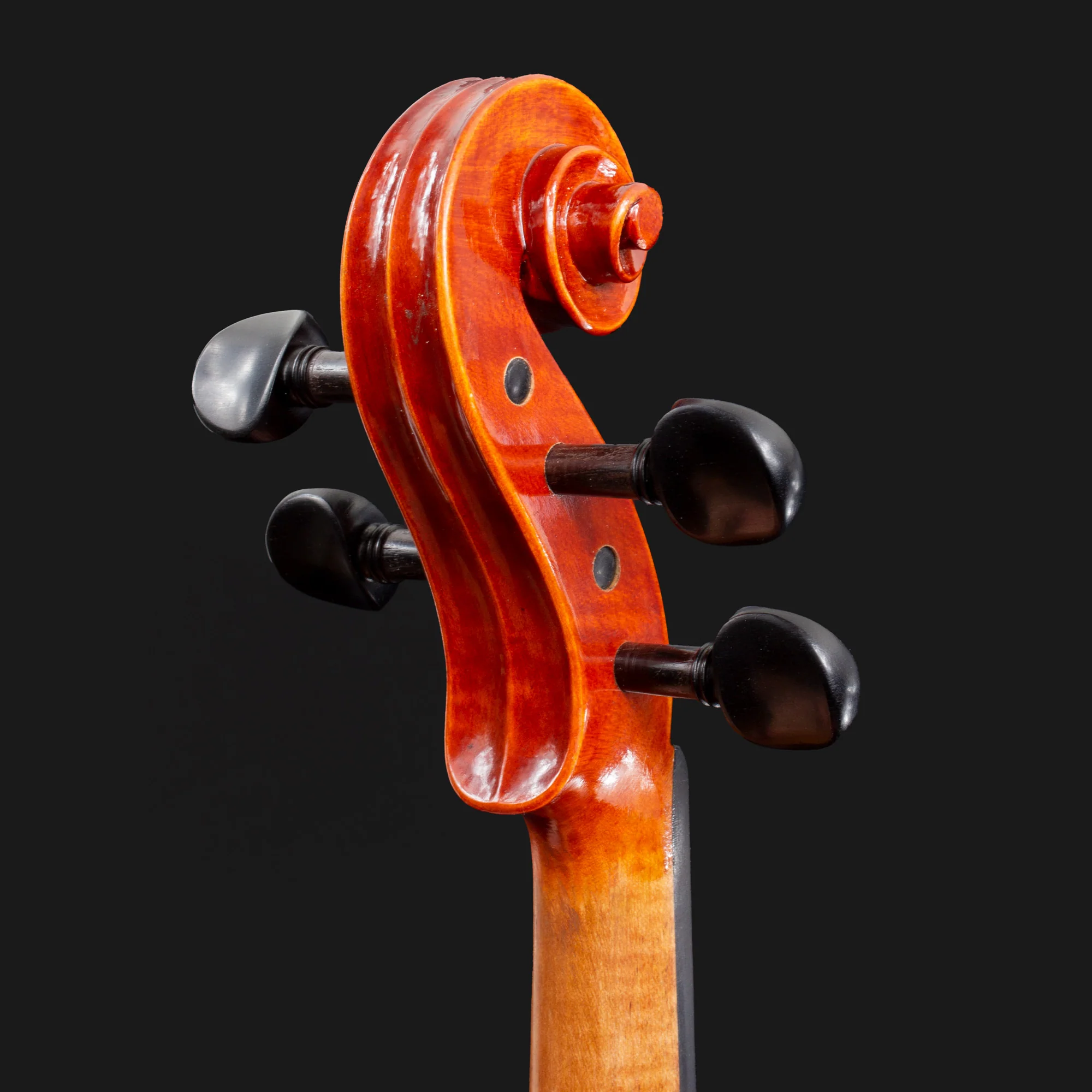 101 Model Violin - Image 9