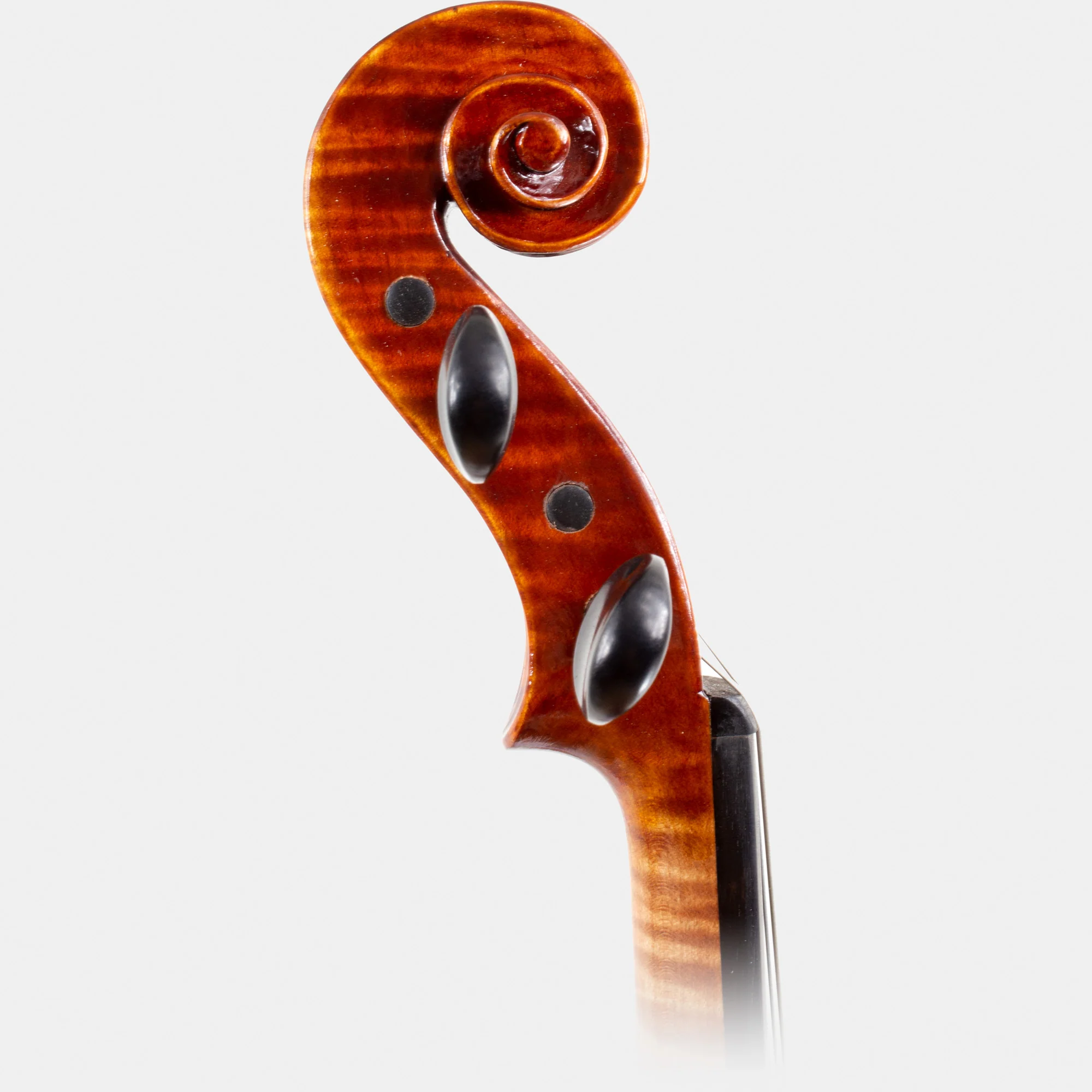 104 Model Violin - Image 7
