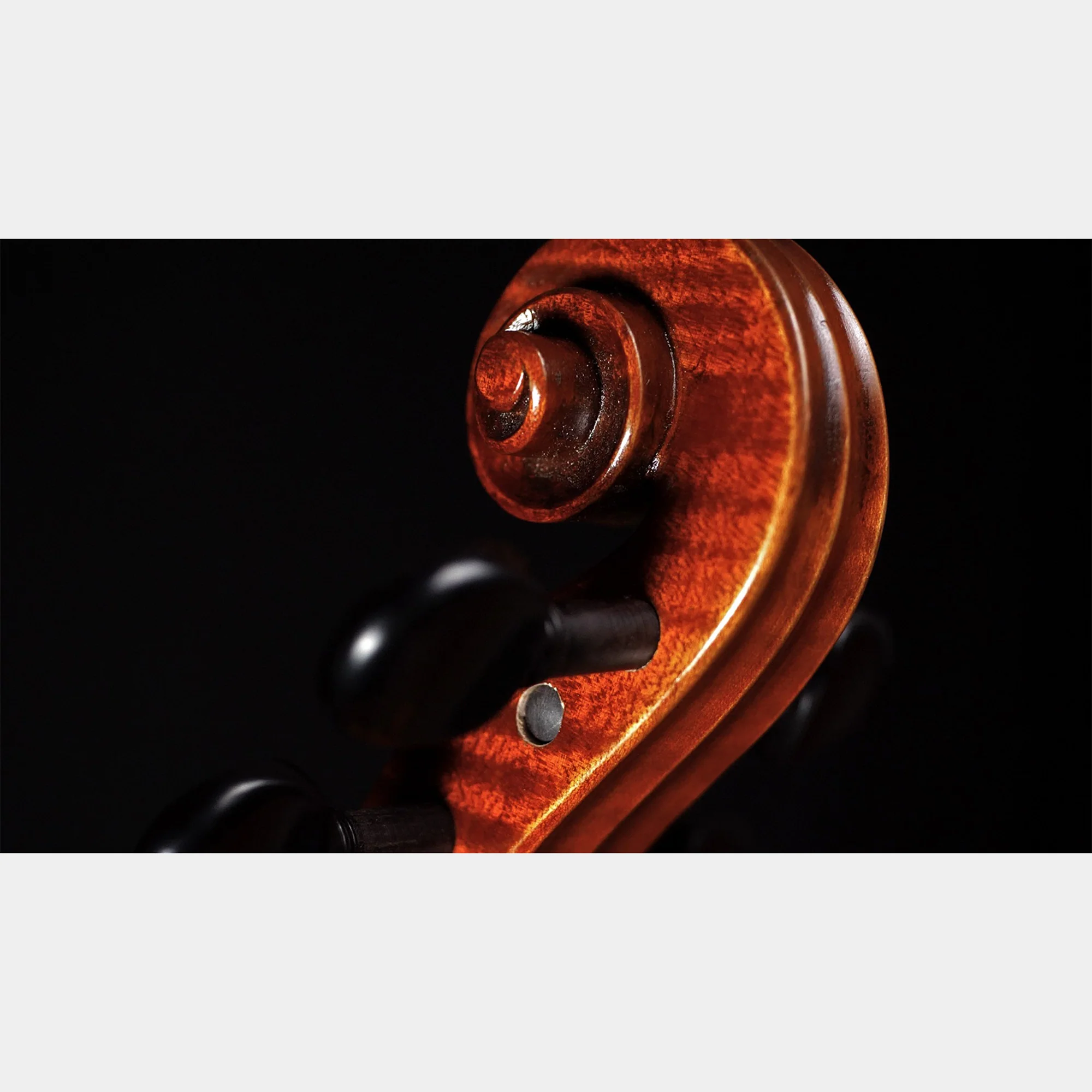 Barnabetti Violin - Image 3