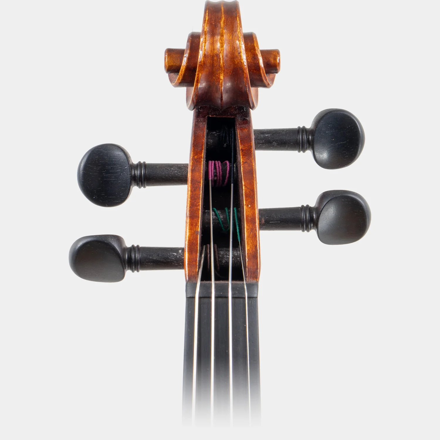 Maestro 41 Violin - Image 3
