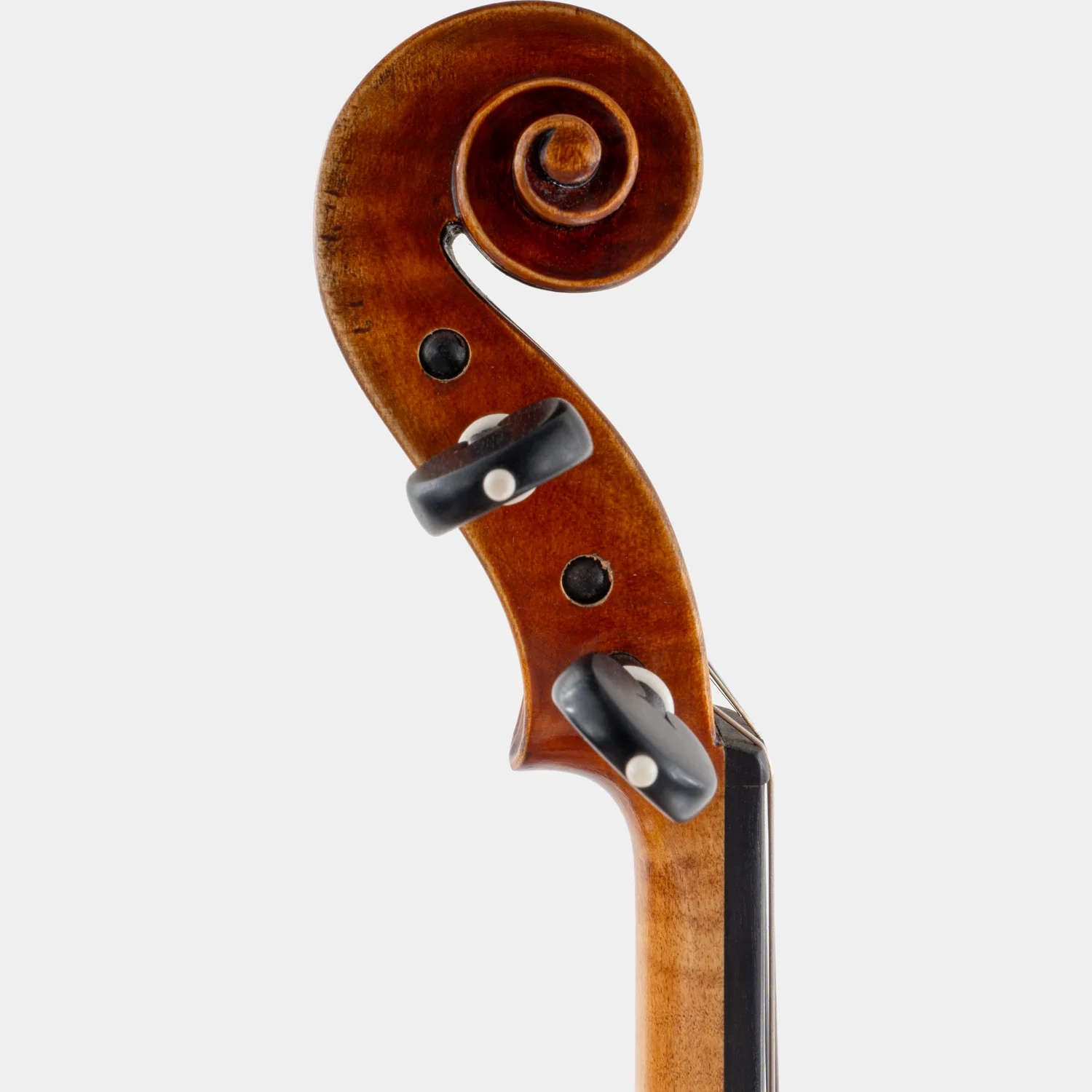 Maestro 71 Violin - Image 3