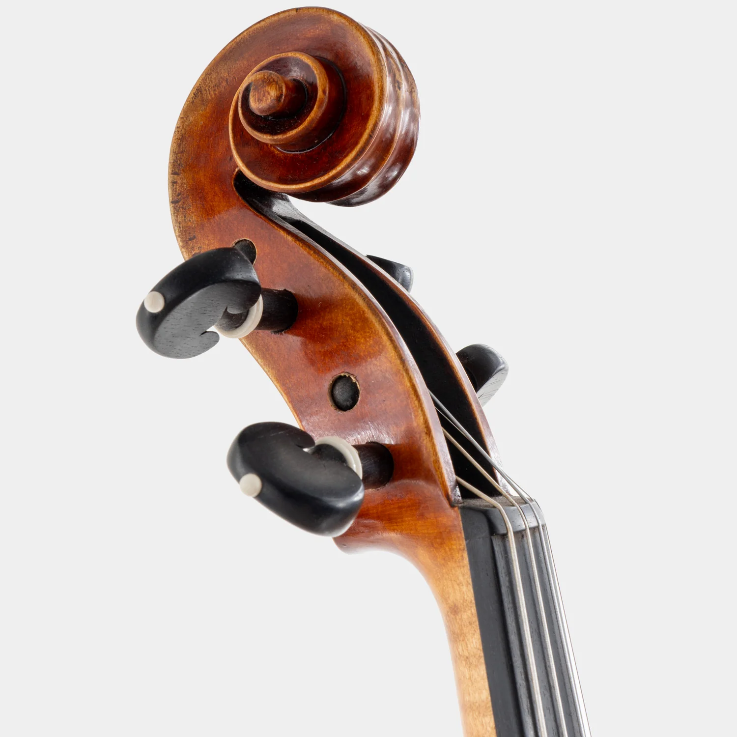 Maestro 71 Violin - Image 5