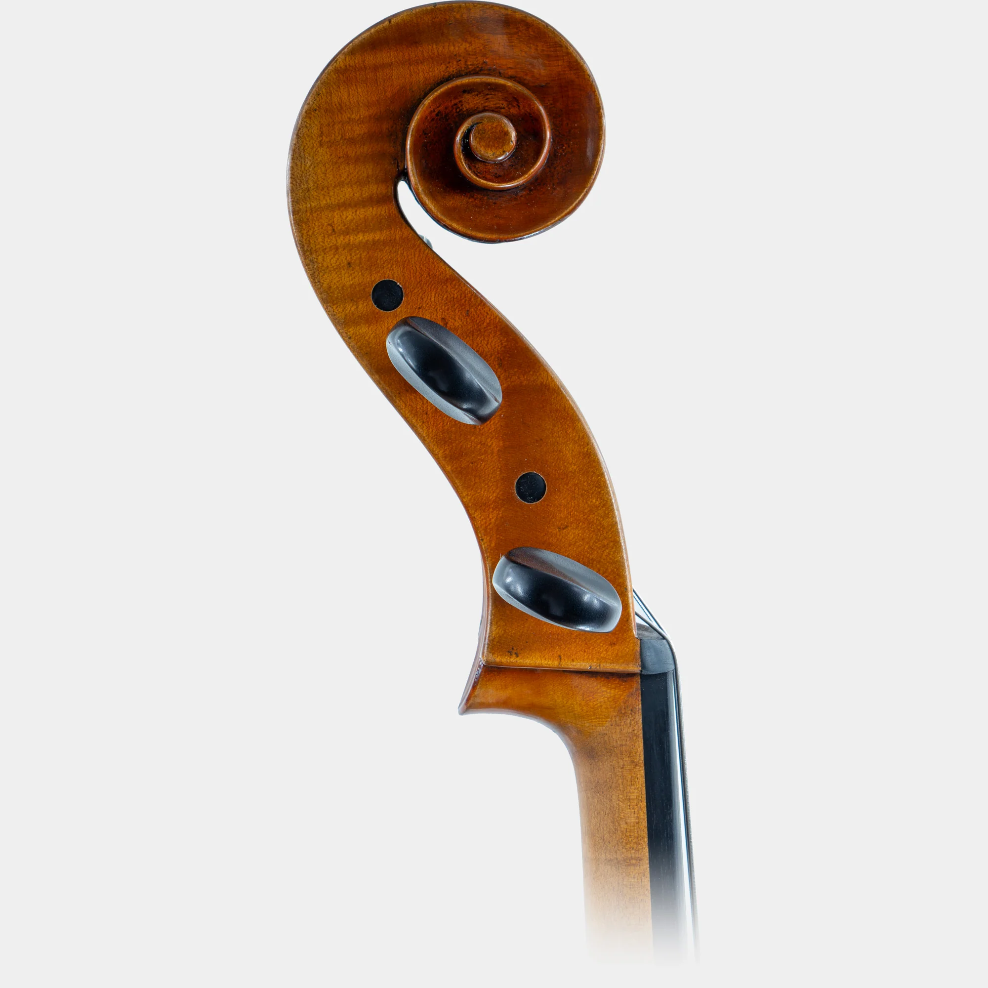 Master IV Cello - Image 3