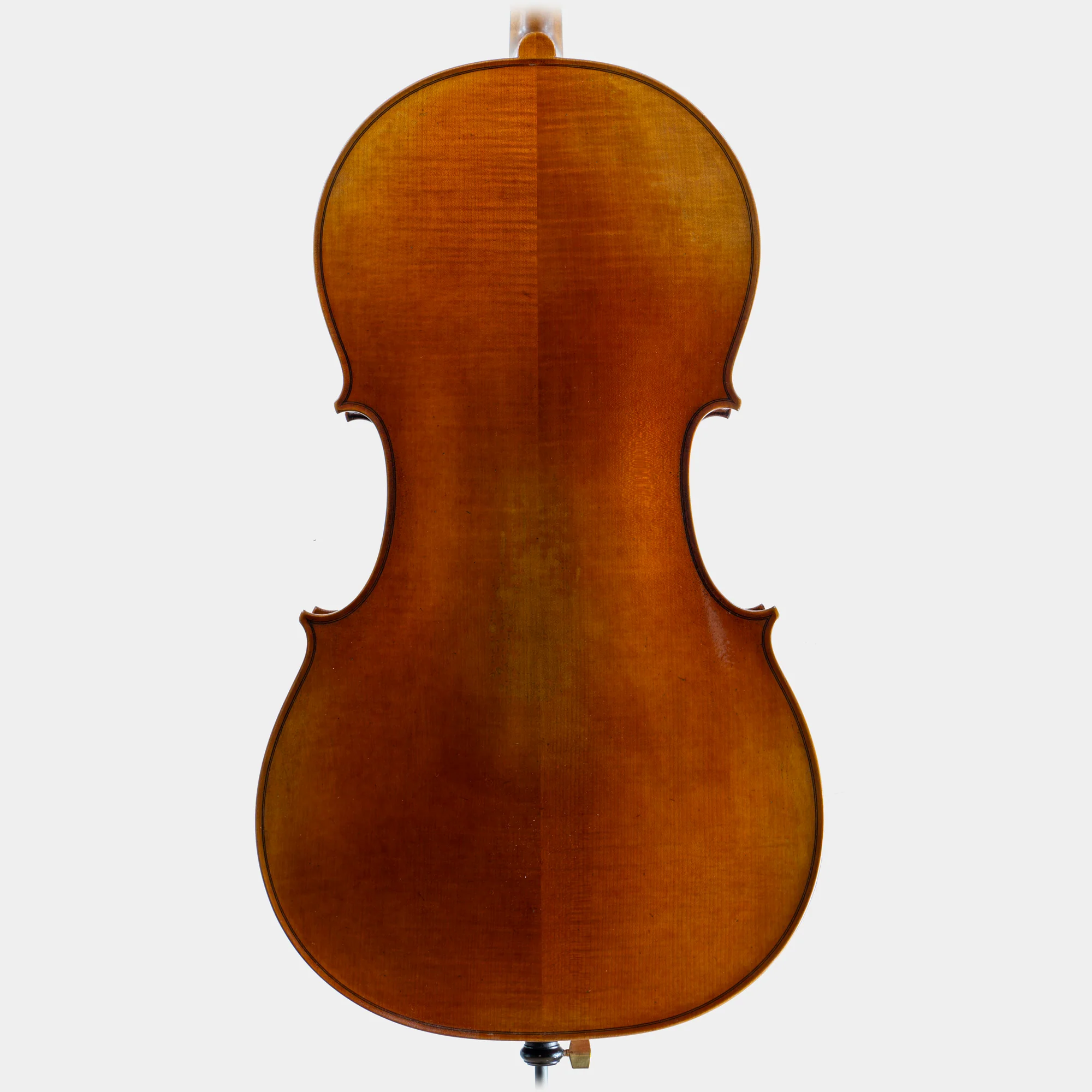 Master IV Cello - Image 4