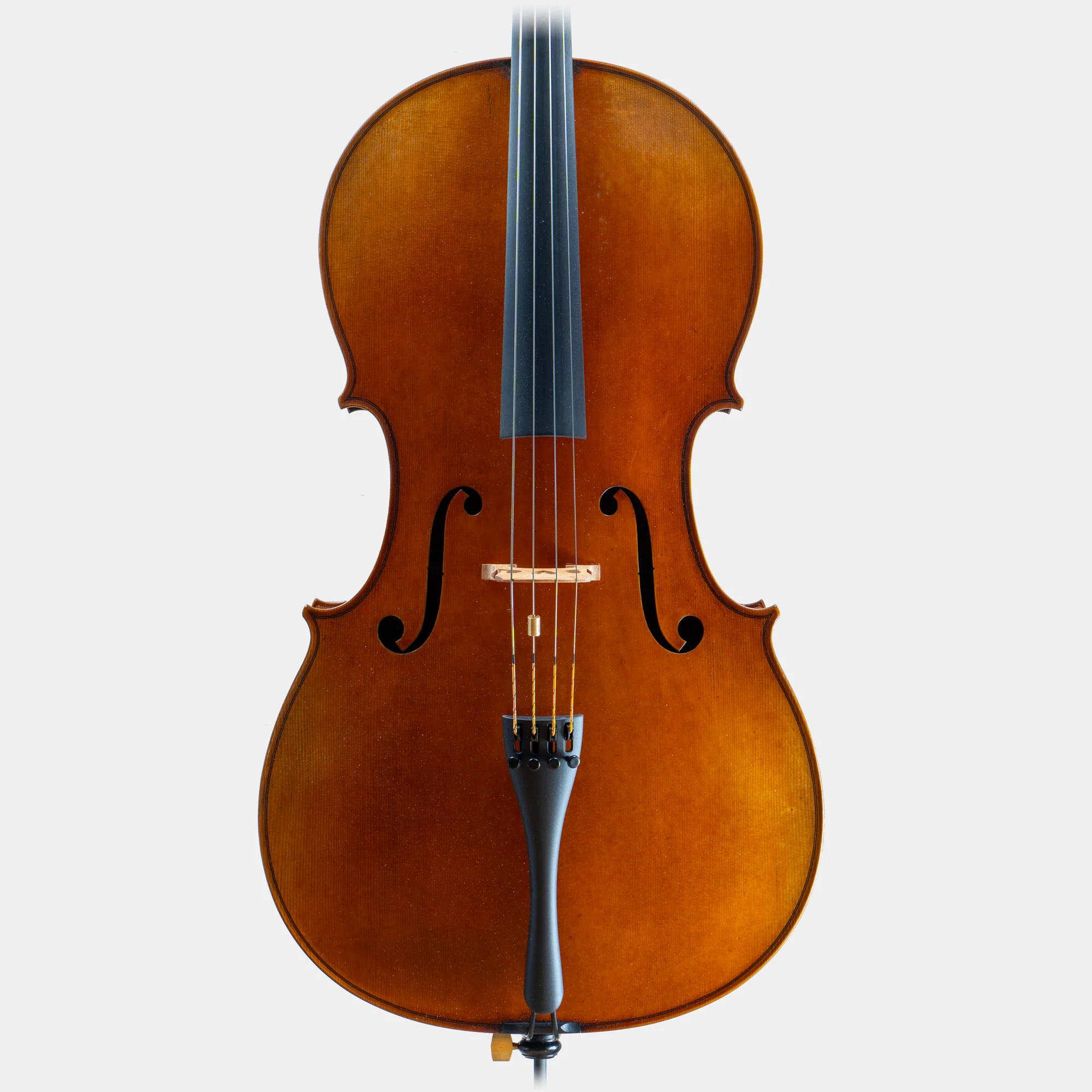 Master IV Cello - Image 5