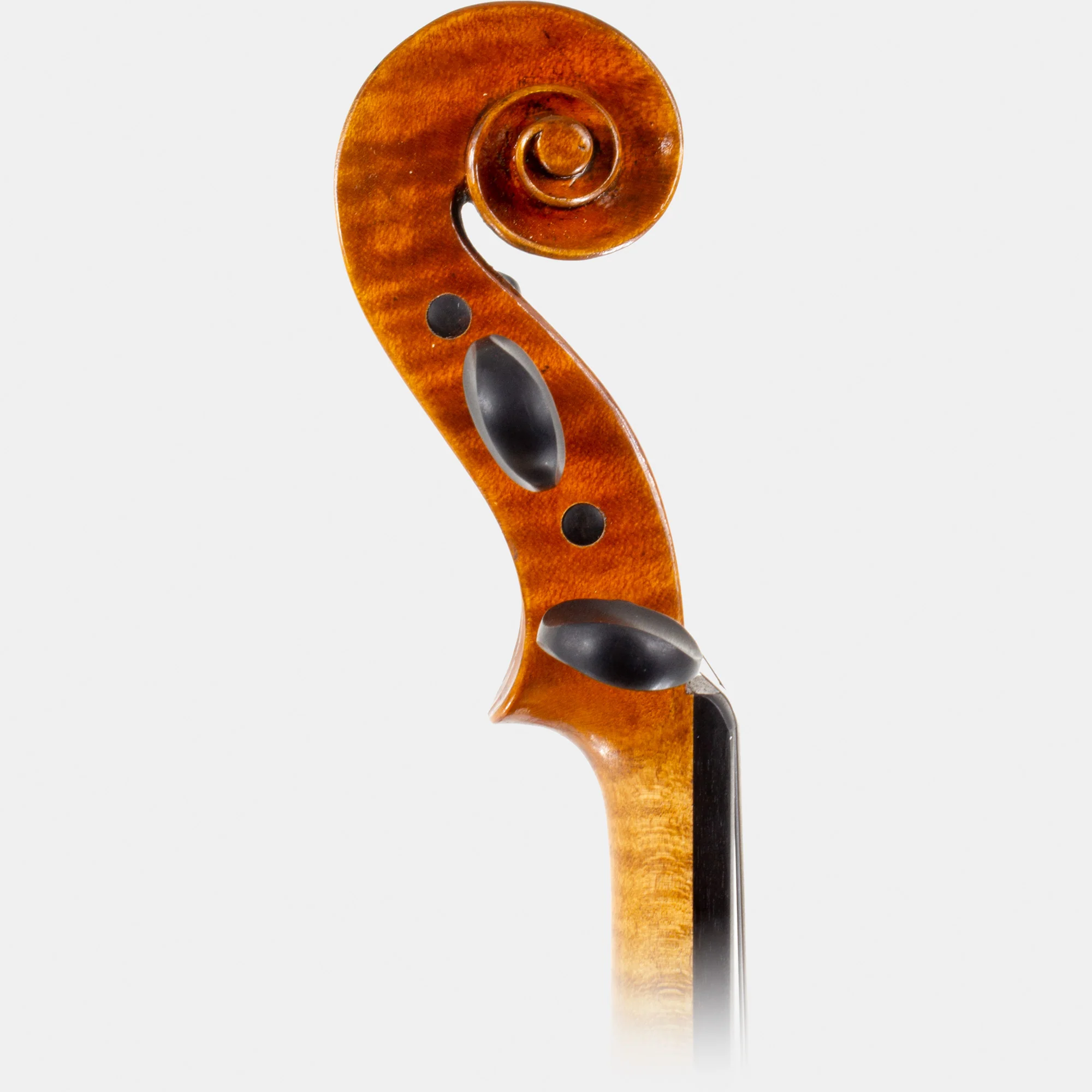 Deluxe Violin - Image 10