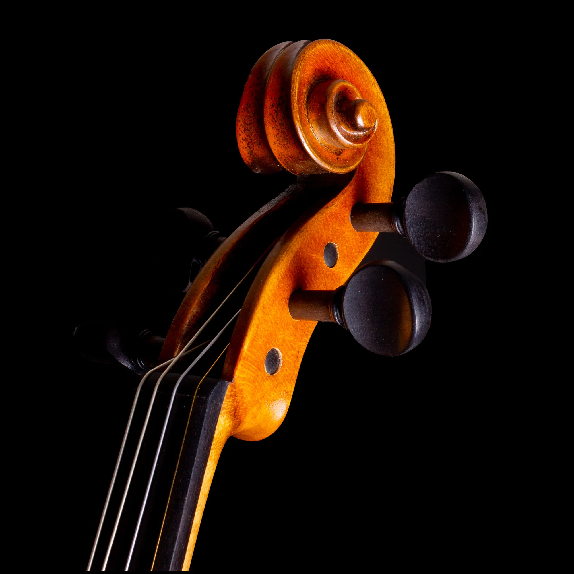 Master V Violin - Image 14