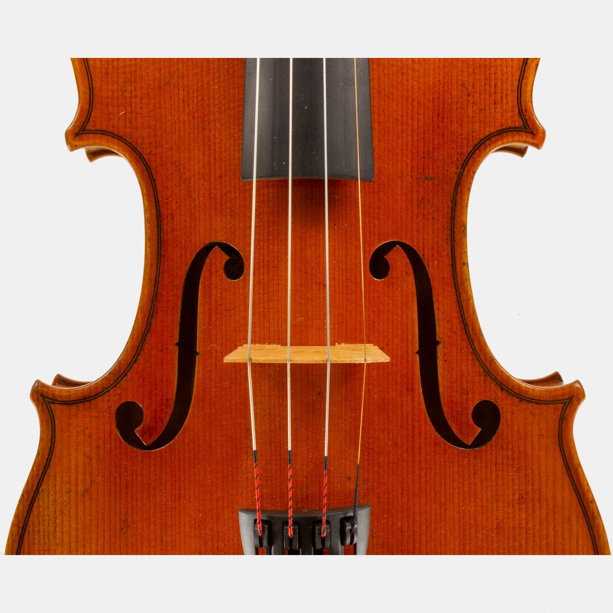 Master V Violin - Image 3