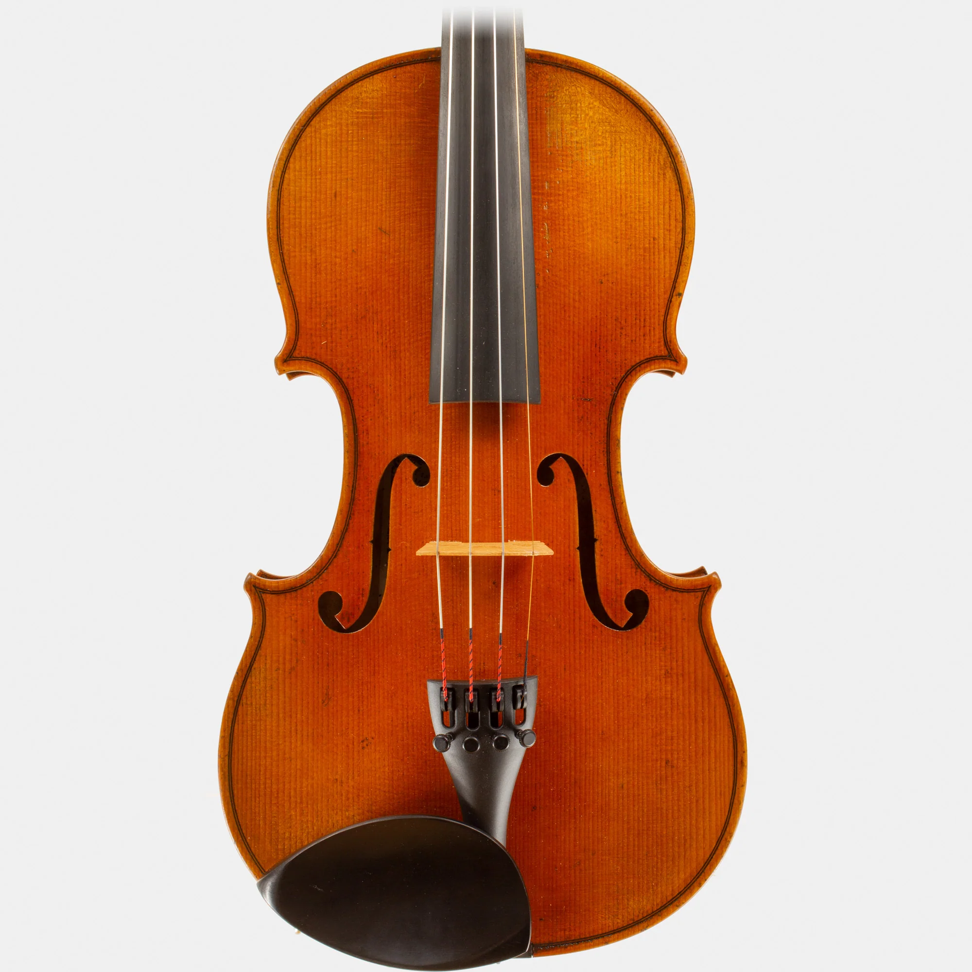 Master V Violin - Image 4
