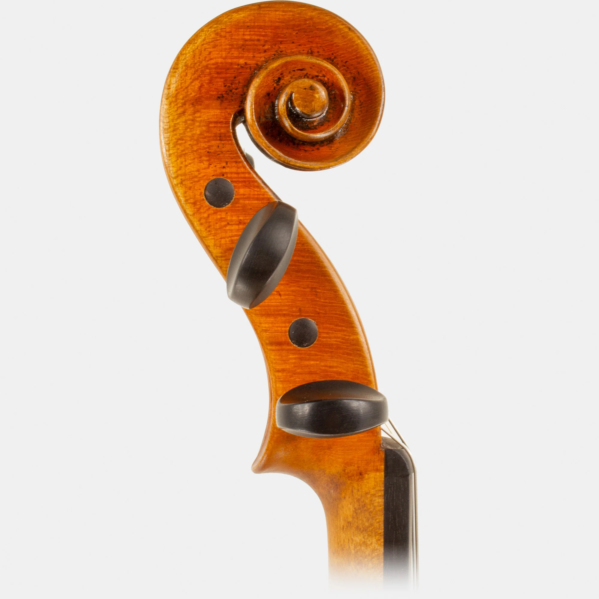 Master V Violin - Image 6