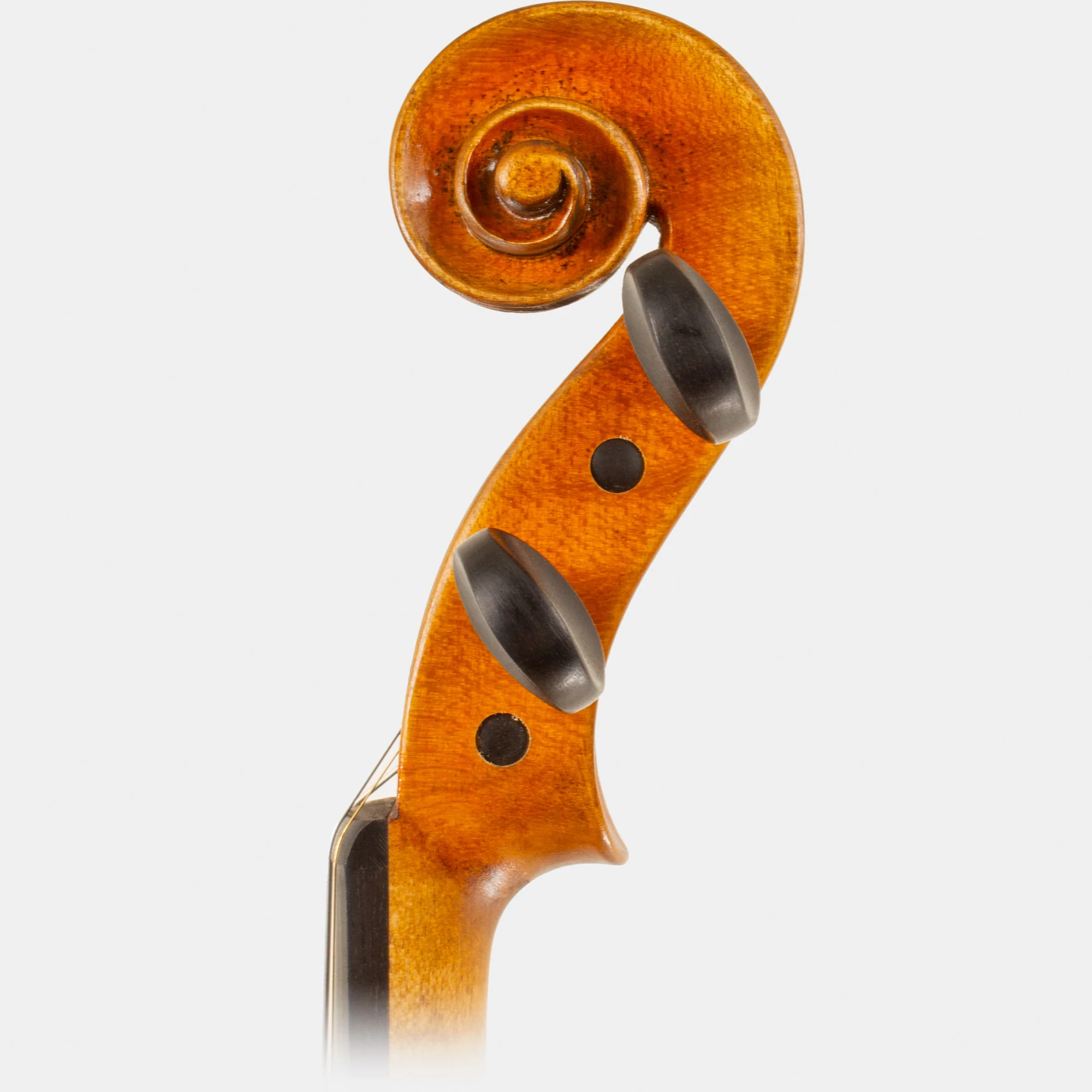Master V Violin - Image 8
