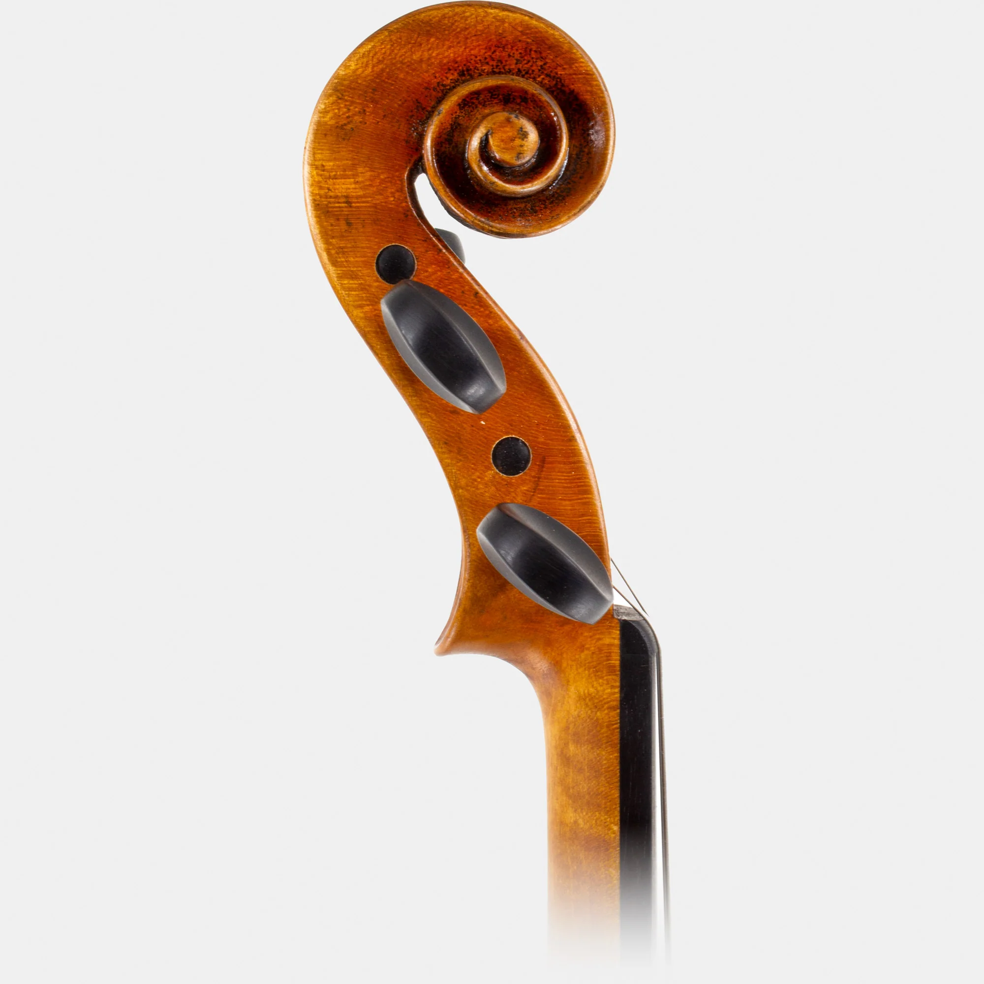 Master VI Violin - Image 11
