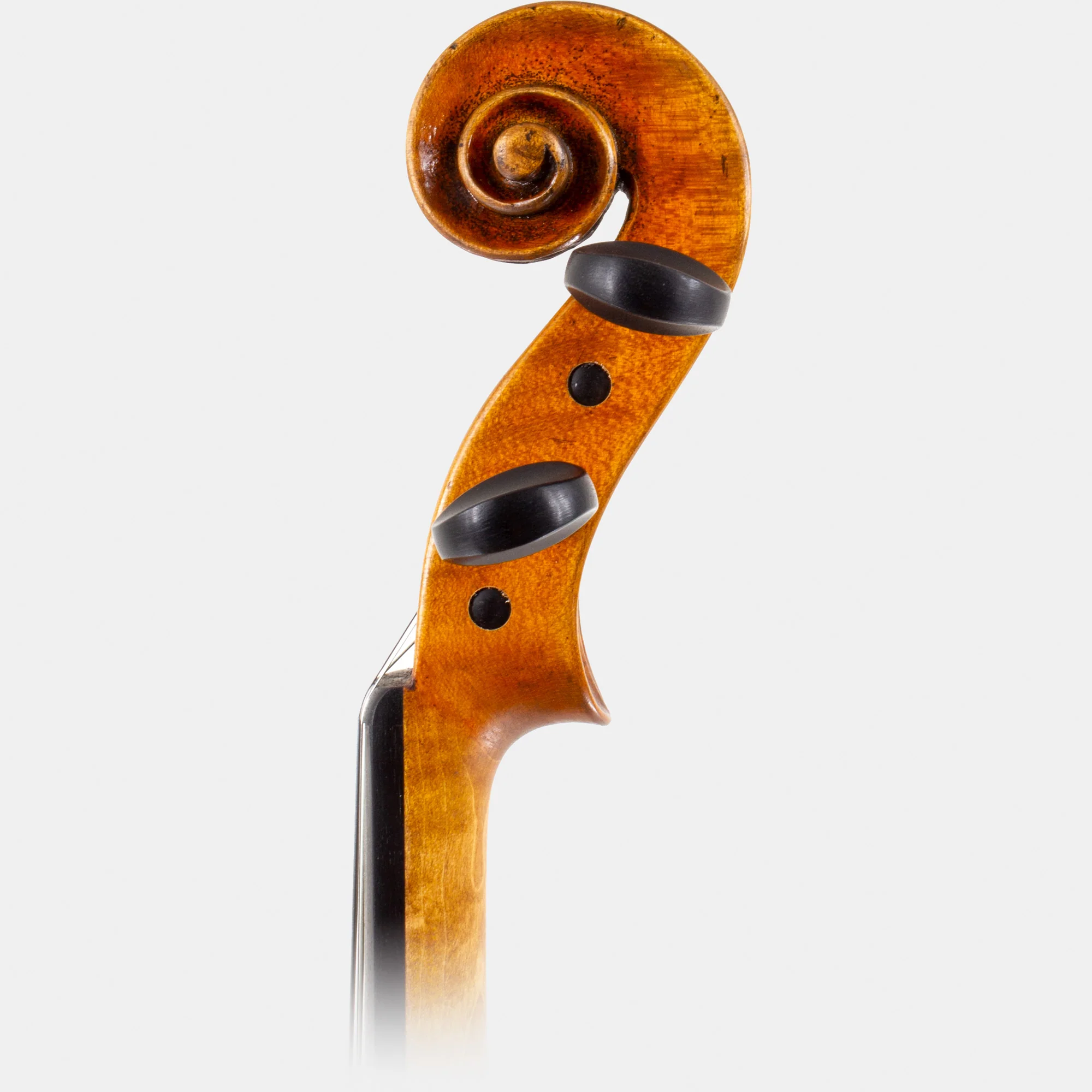 Master VI Violin - Image 13