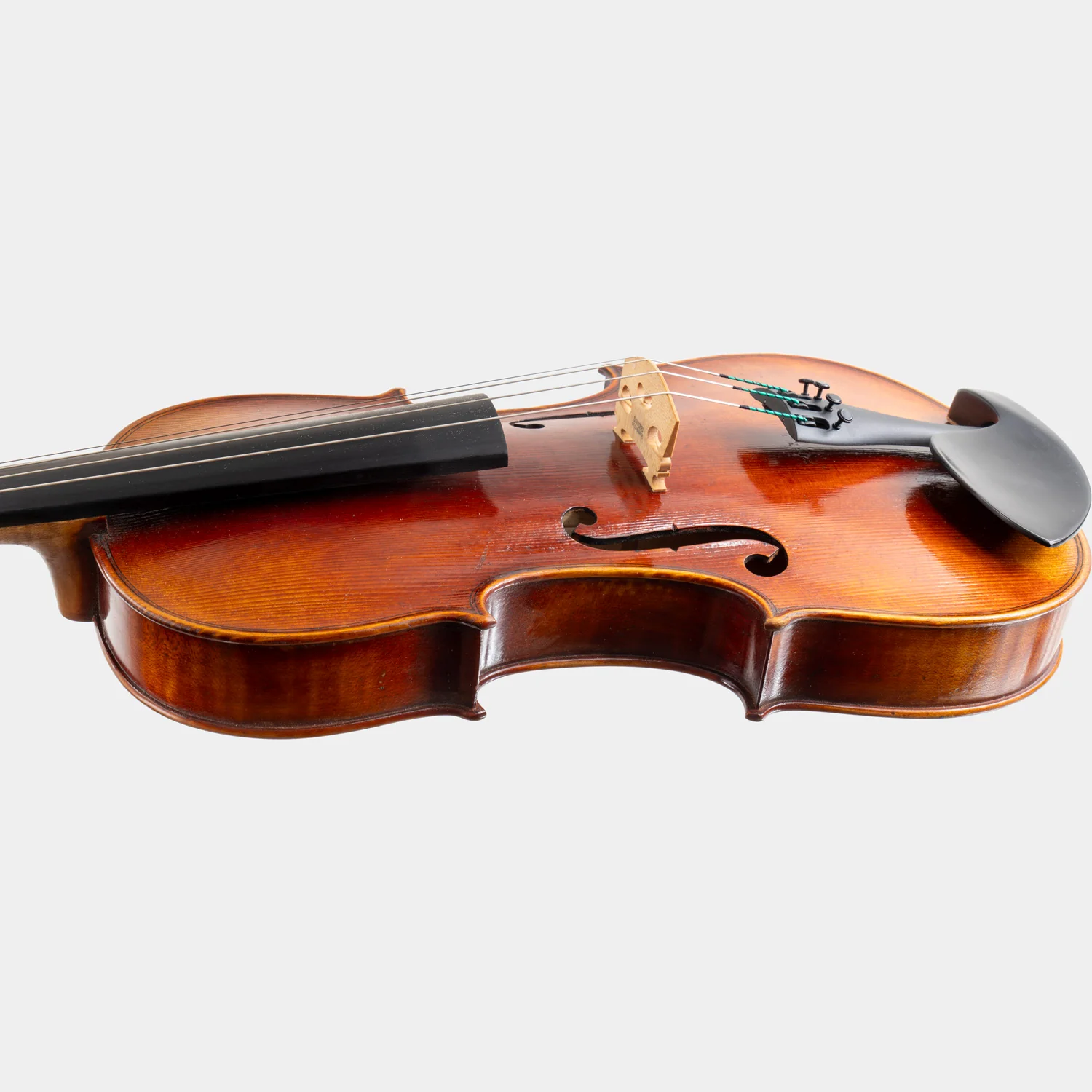 Special Model Bajoni Viola - Image 11
