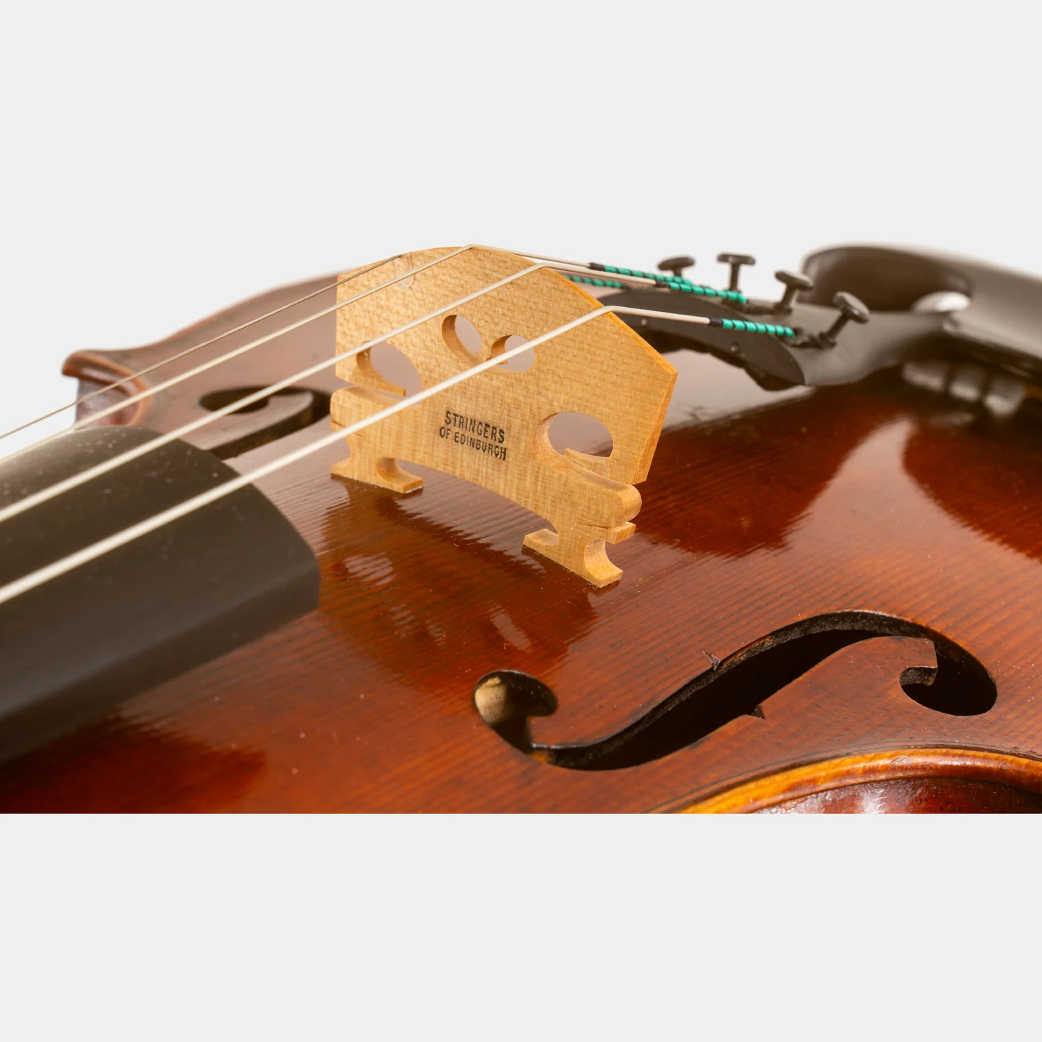 Special Model Bajoni Viola - Image 12