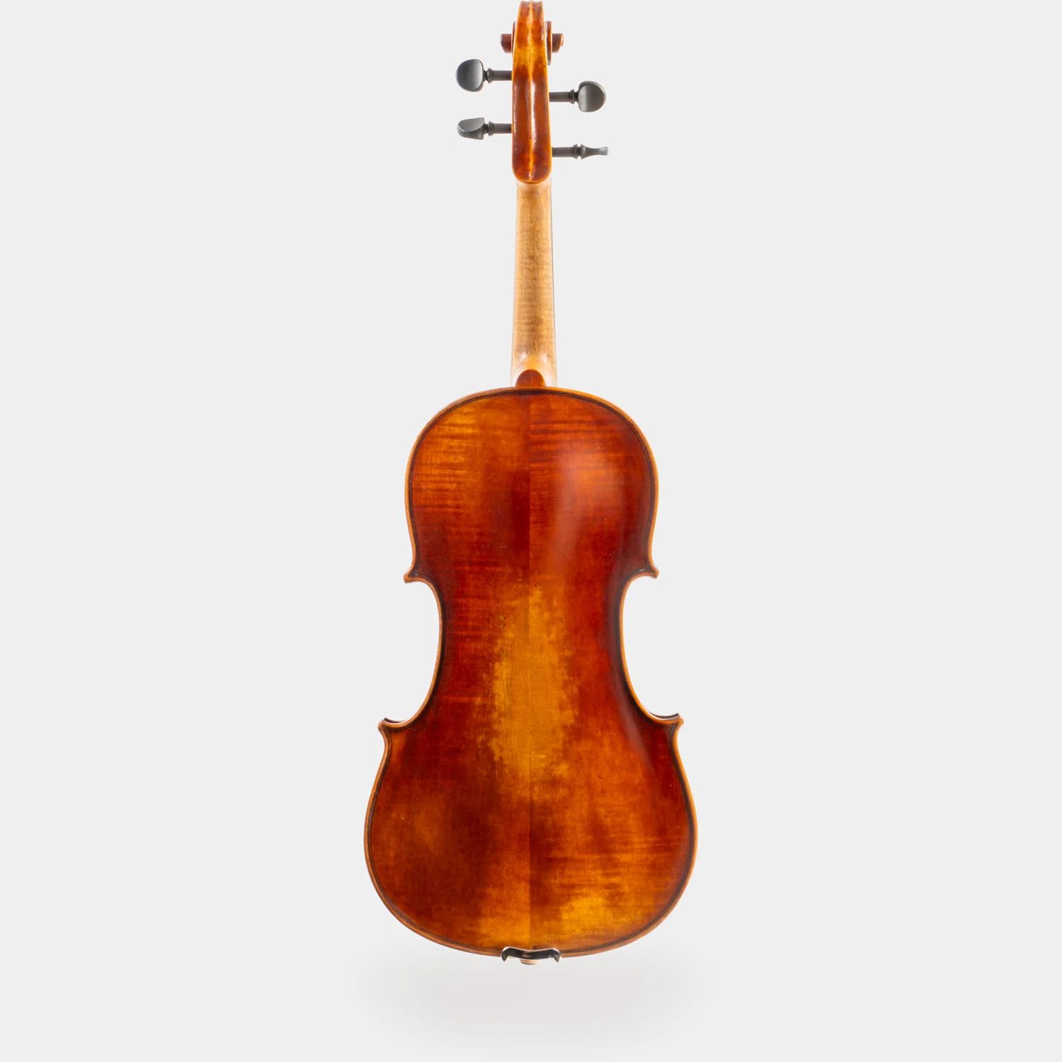Special Model Bajoni Viola - Image 2