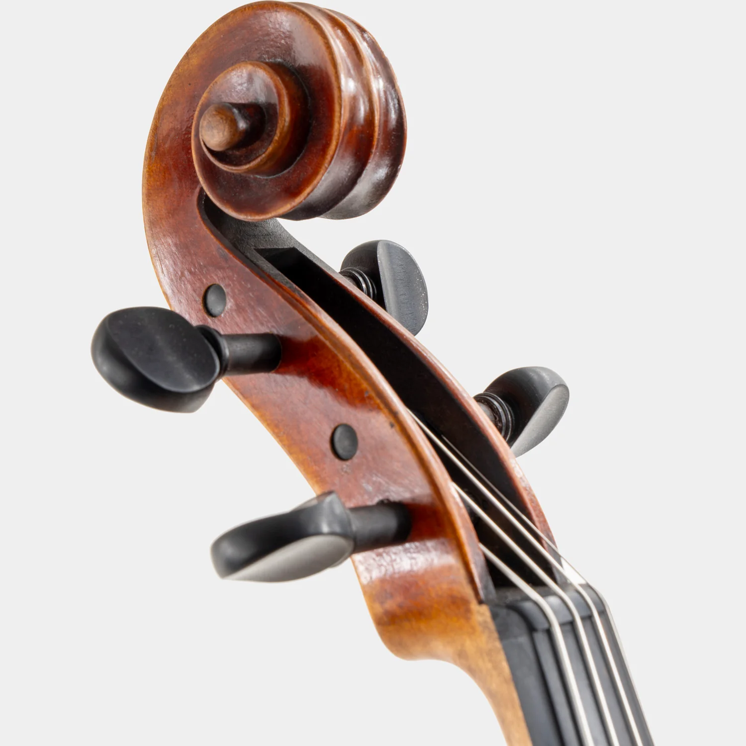 Special Model Bajoni Viola - Image 4