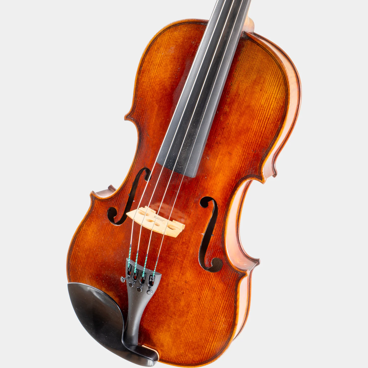 Special Model Bajoni Viola - Image 6