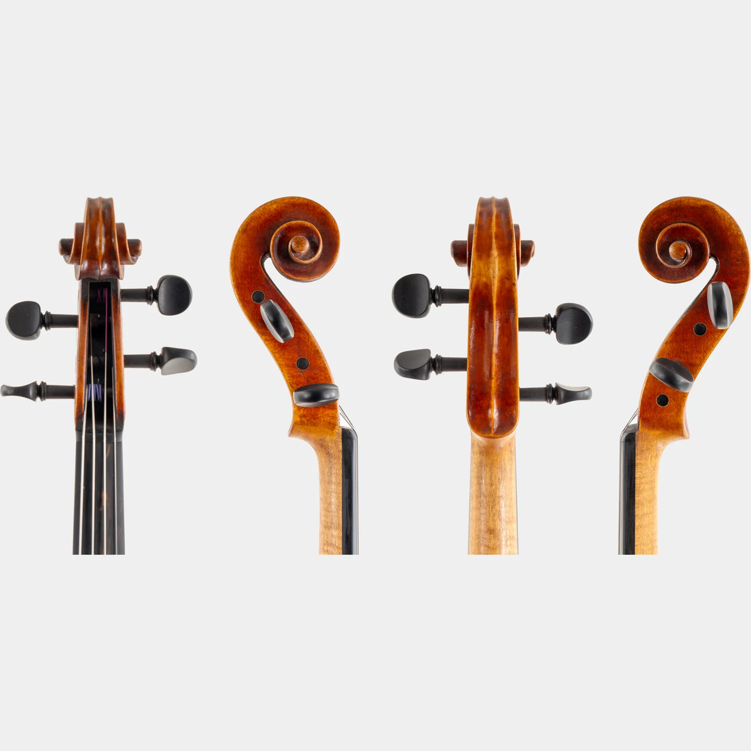 Special Model Bajoni Viola - Image 8