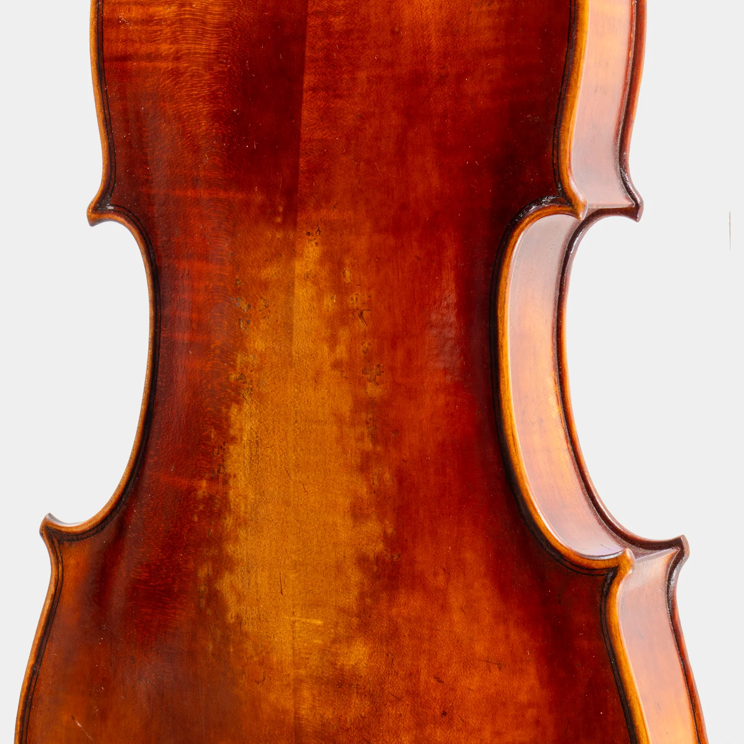 Special Model Bajoni Viola - Image 9