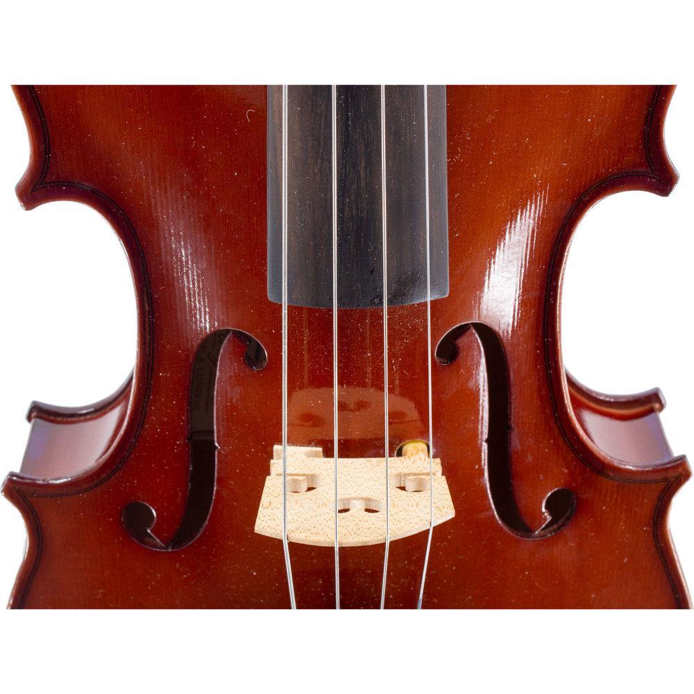 Standard Viola Conversion Outfit - Image 4