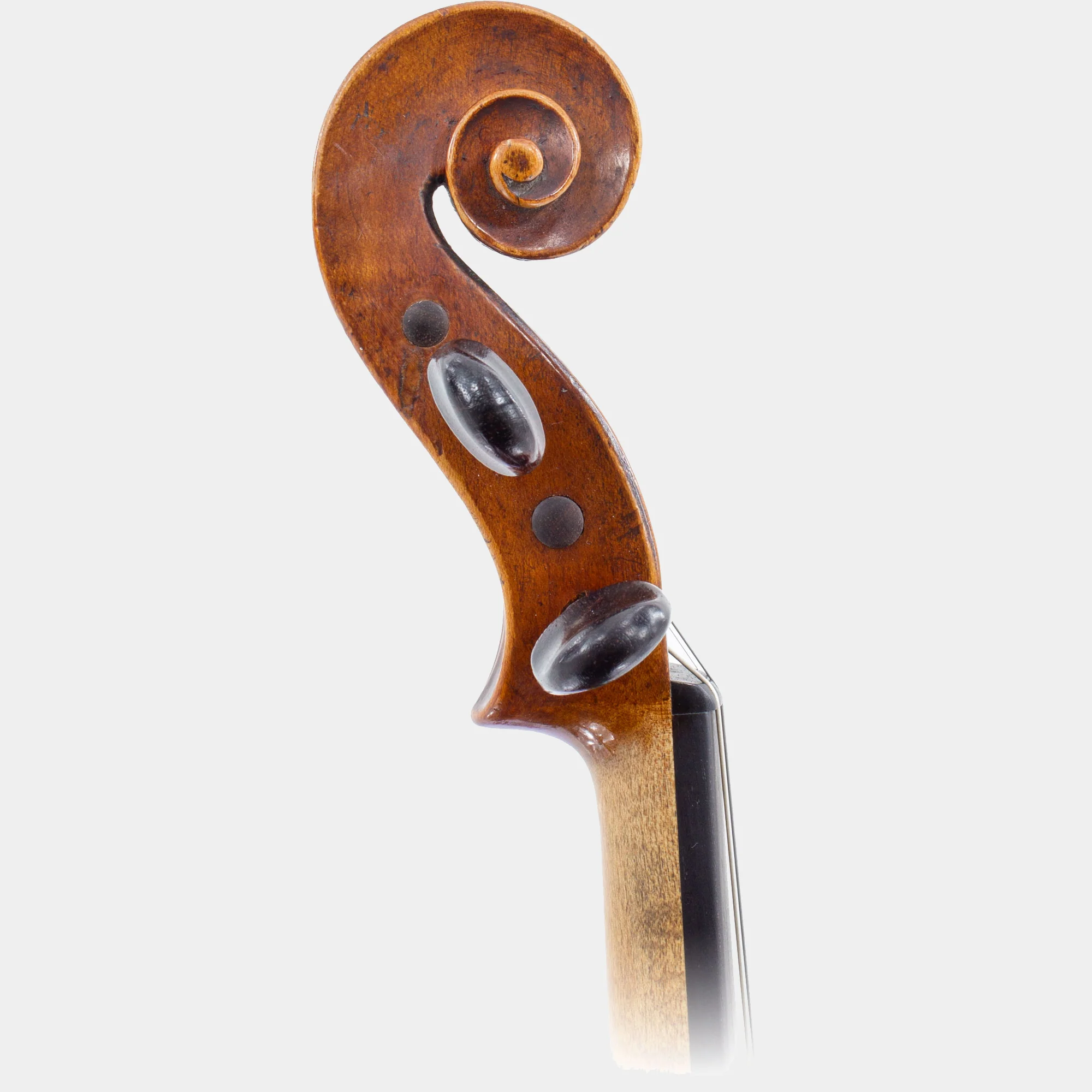 Violin by Matthew Hardie, Edinburgh, c.1815 - Image 4